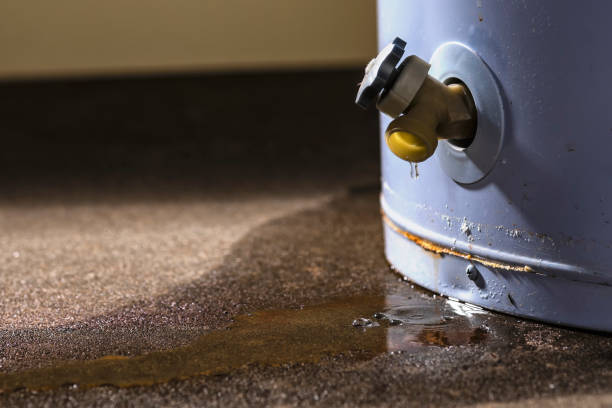 Carpet water damage restoration in Laflin, PA