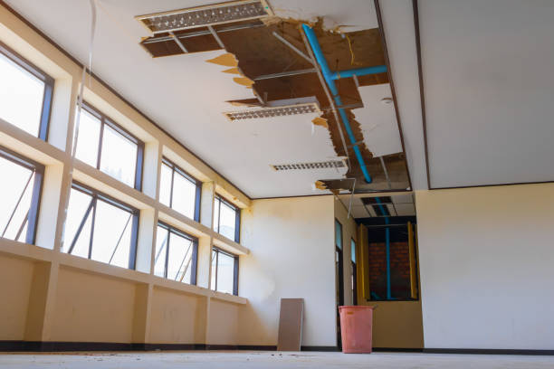 Best Water damage cleanup near me  in Laflin, PA