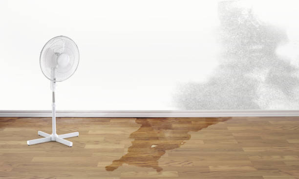 Professional Water damage restoration in Laflin, PA