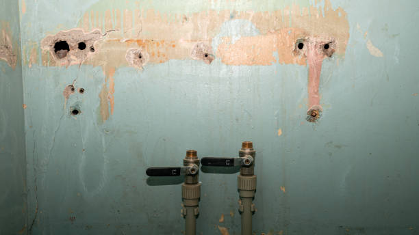 Carpet water damage restoration in Laflin, PA