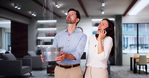  Laflin, PA Water damage restoration Pros