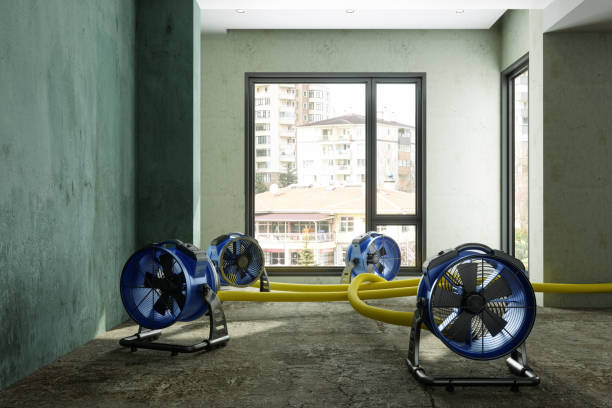 Best Commercial water damage restoration  in Laflin, PA